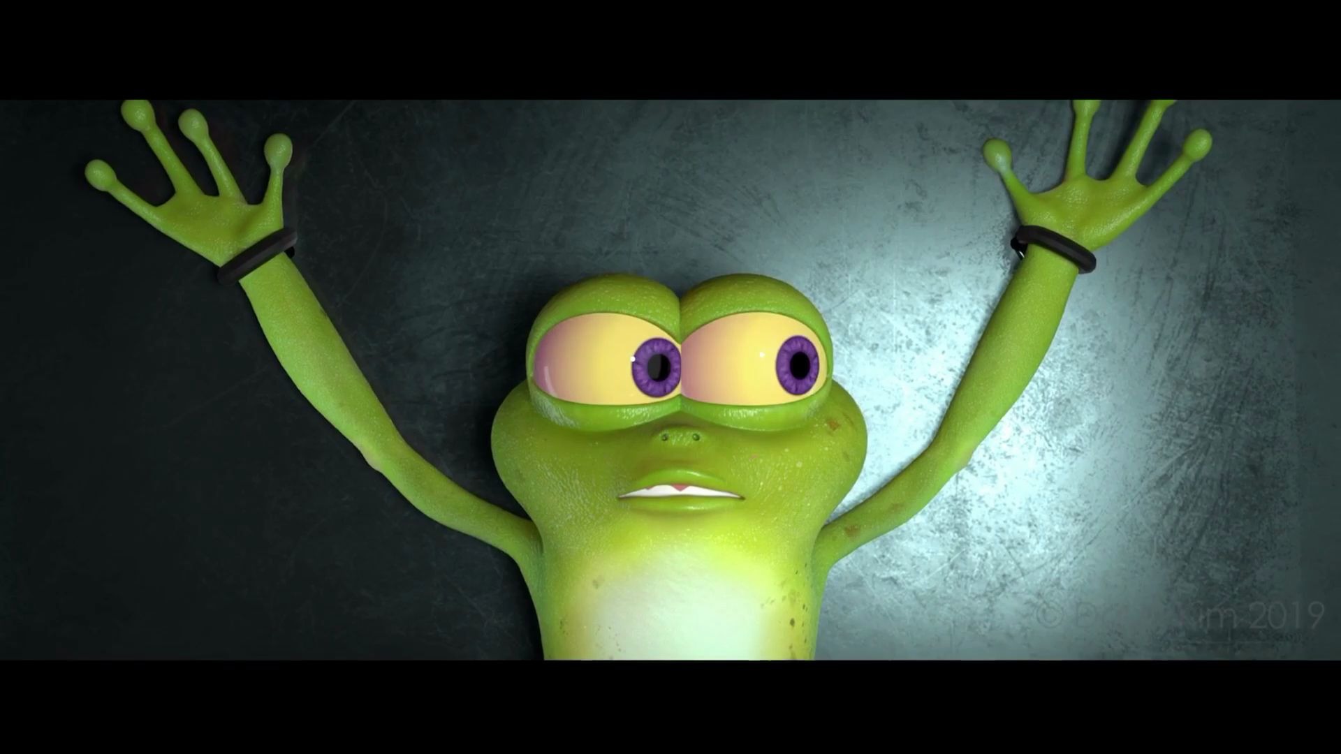 活动  功夫青蛙