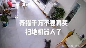 Télécharger la video: 养猫千万不要买扫地机器人