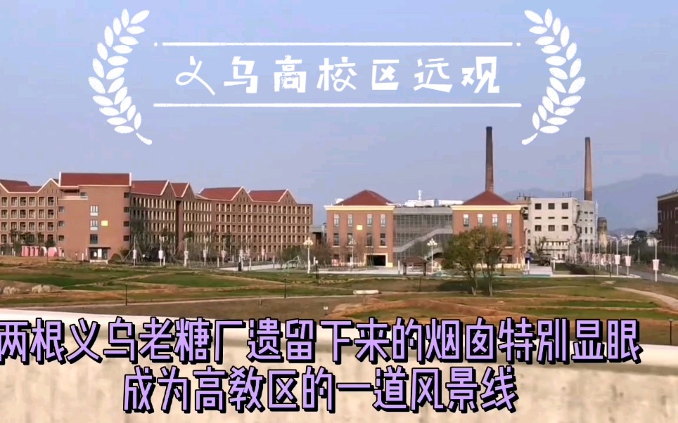 在义乌市到佛堂古镇的快速路上,远观实拍中国计量大学义乌现代科技学院景观哔哩哔哩bilibili