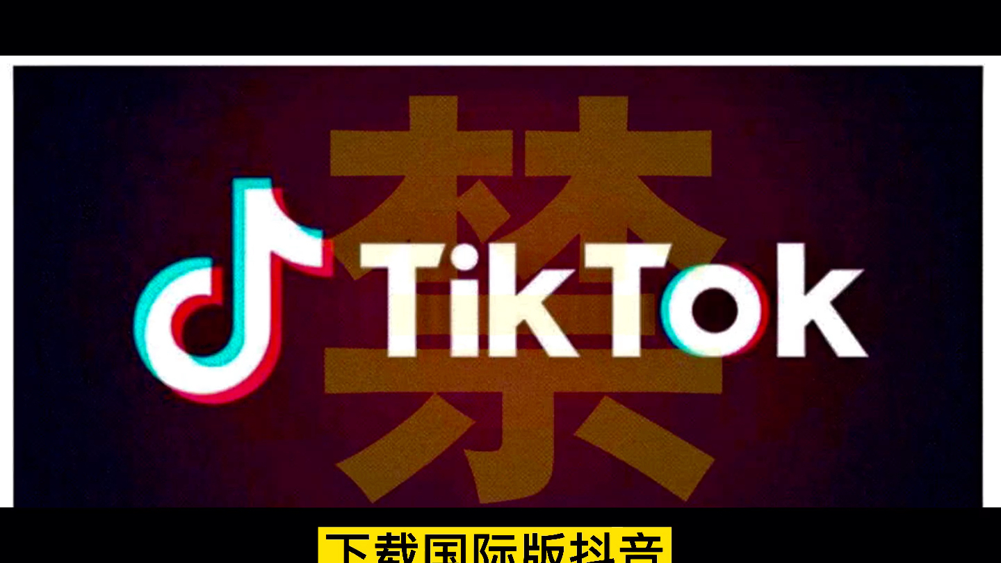 下载国际版抖音TikTok适合什么型号的手机哔哩哔哩bilibili