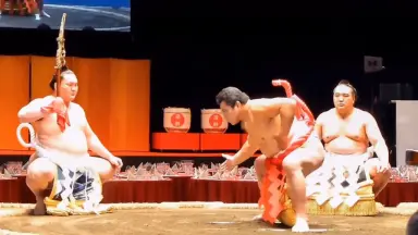 千代大海-哔哩哔哩_Bilibili