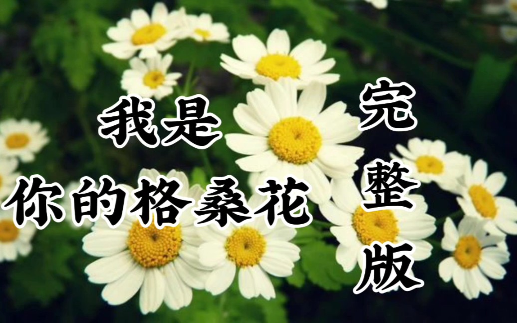 [图]我是你的格桑花《完整版》