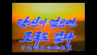 Download Video: 朝鲜歌曲《没有您就没有祖国》中文字幕