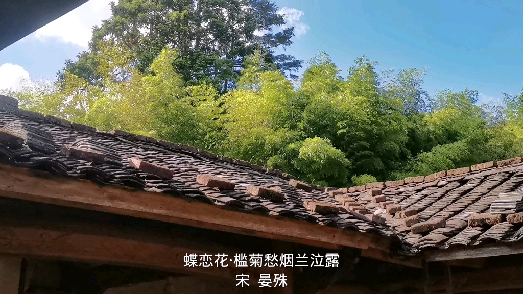 蝶恋花ⷦ盨Š愁烟兰泣露 晏殊 (宋) 槛菊愁烟兰泣露,罗幕轻寒,燕子双飞去.明月不谙离恨苦,斜光到晓穿朱户....哔哩哔哩bilibili