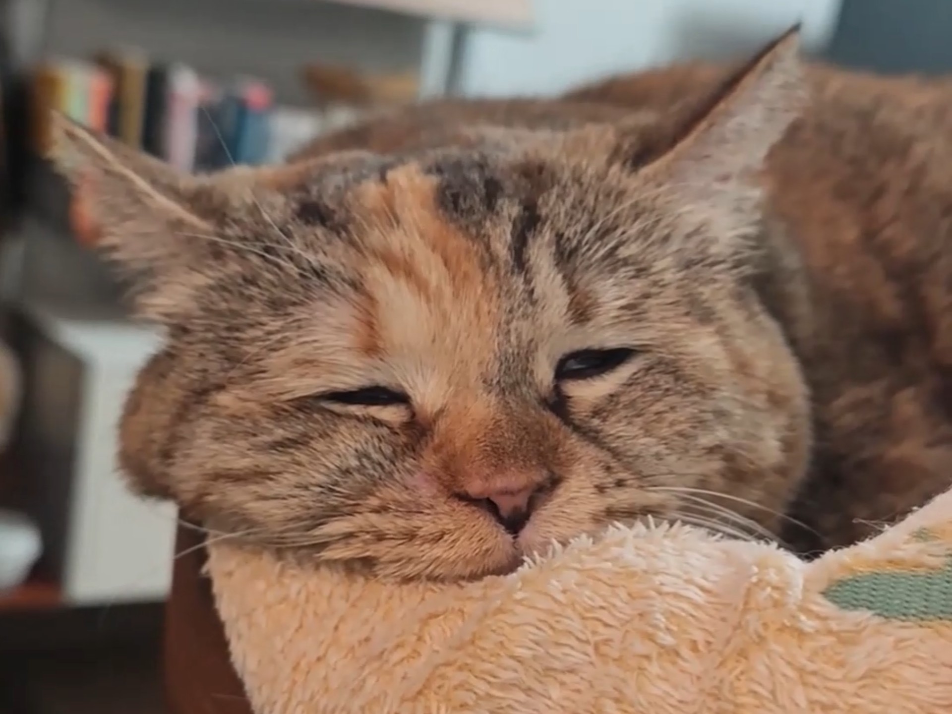 白天浑浑噩噩，晚上咣芒四射