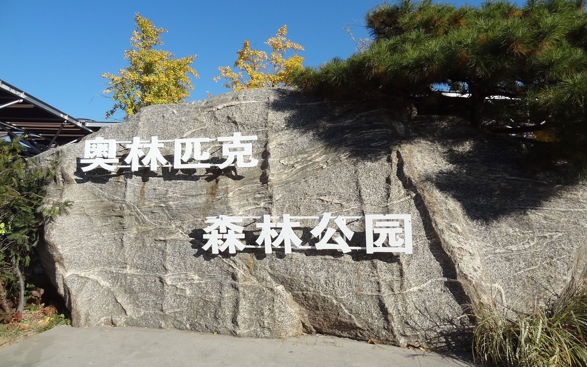 【Ted看世界】北京: 奥林匹克森林公园 (Olympic Forest Park, Beijing)哔哩哔哩bilibili