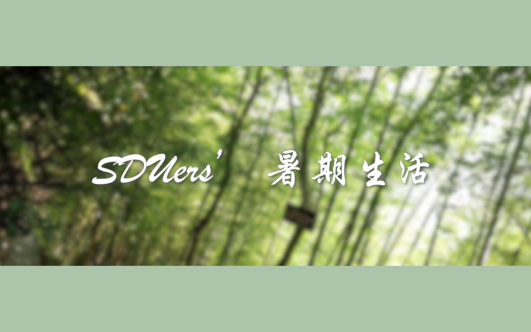 【SDUers暑期生活实录】来看看SDUers的暑期限定吧!哔哩哔哩bilibili