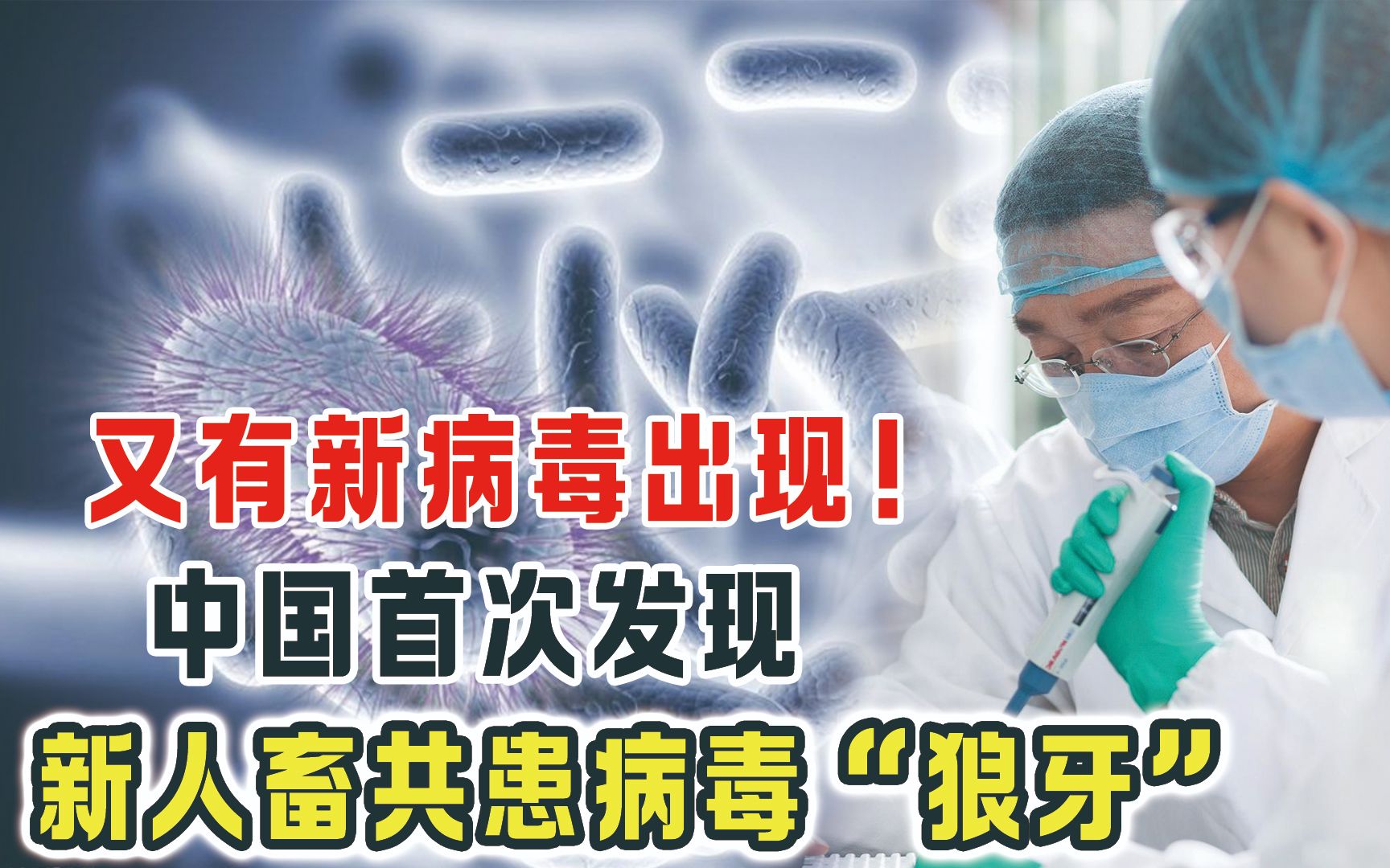 比猴痘更可怕!我国新病毒“狼牙”已感染35人,会留下哪些后遗症?哔哩哔哩bilibili