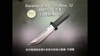 Download Video: BUSSE 沼泽 自由驰骋 12寸SR3V 61-63HRC仅开箱视频及照片欣赏分析设计数据 不销售