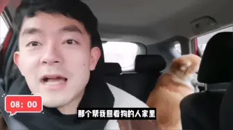 Descargar video: VLOG 《一个驻外“老父亲”的日常》驻外养狗两不误的背后