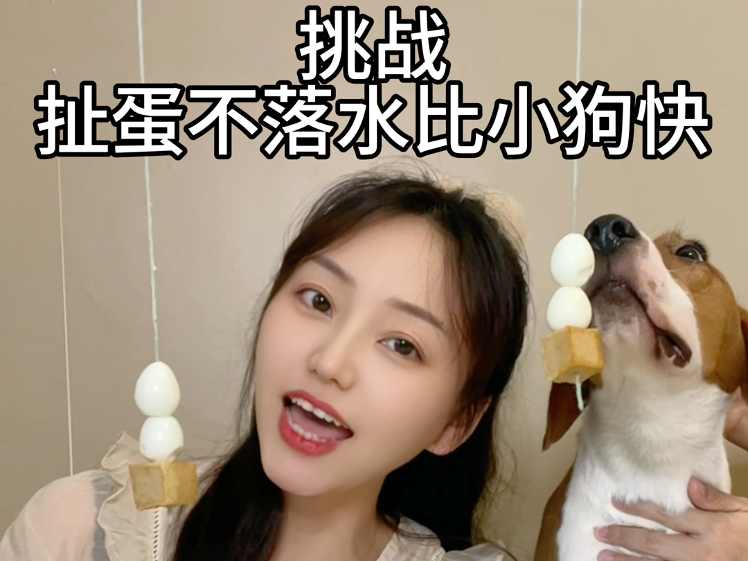 小菜一碟哔哩哔哩bilibili