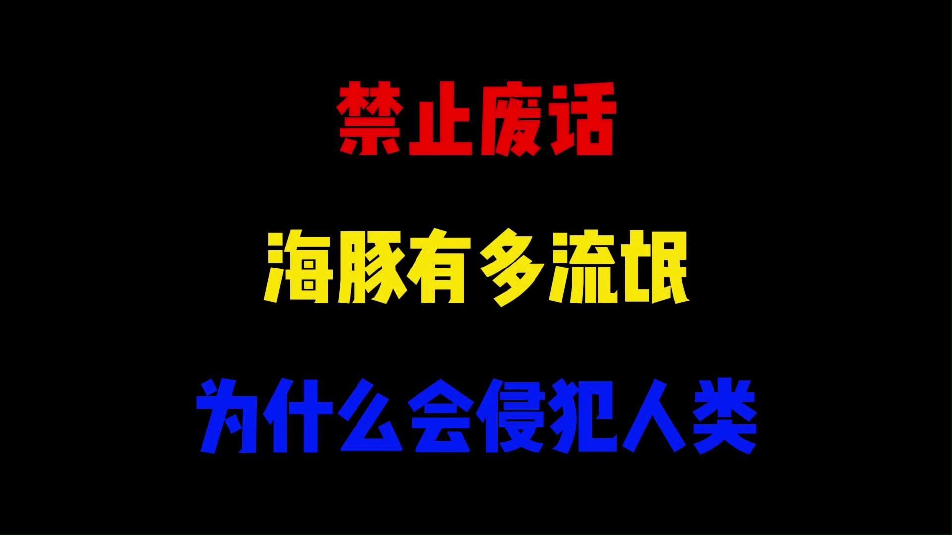 禁止废话:海豚有多流氓?为什么会侵犯人类哔哩哔哩bilibili