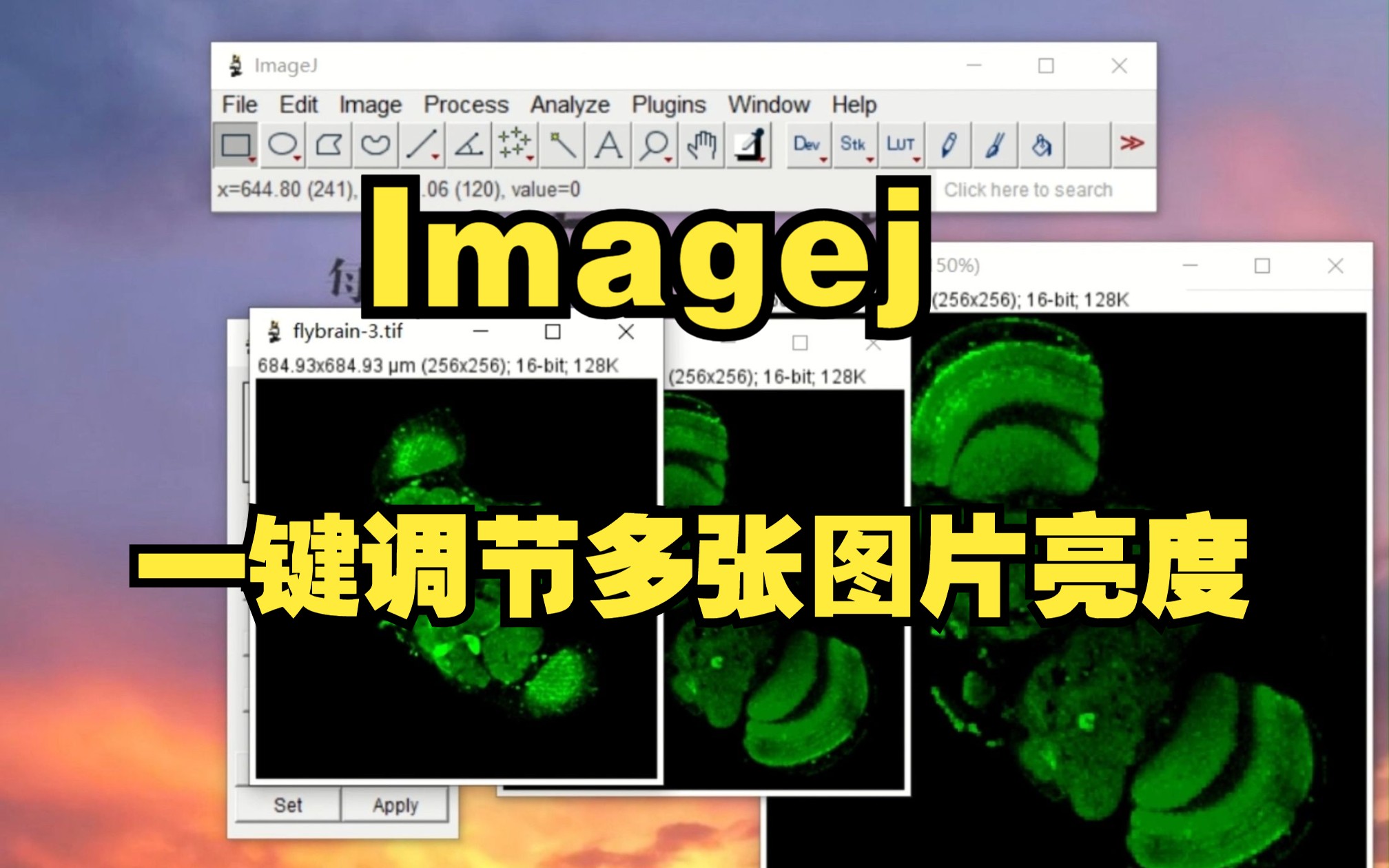 Imagej一键快速调节多张图片亮度哔哩哔哩bilibili