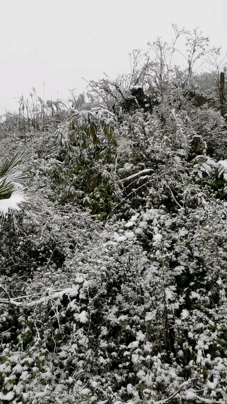 宜宾市长宁县山上的风景❄️哔哩哔哩bilibili