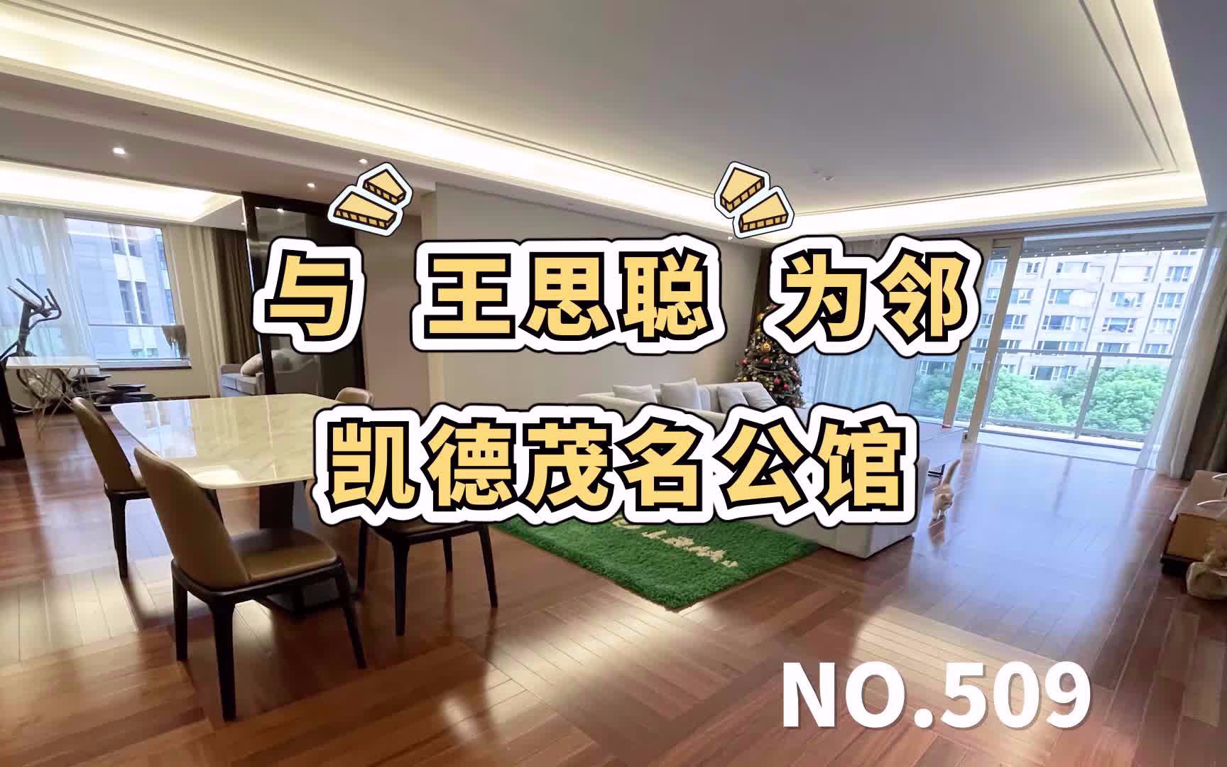 上海豪宅——与王思聪为邻【凯德ⷮŠ茂名公馆】哔哩哔哩bilibili