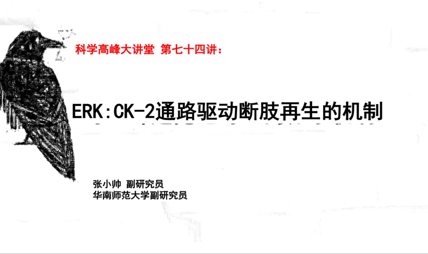 科学高峰大讲堂 第七十四讲:ERK:CK2通路驱动昆虫断肢再生的机制哔哩哔哩bilibili