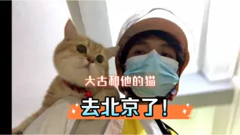 Télécharger la video: 大古和他的猫｜今天要去北京啦！第一次坐飞机好激动！