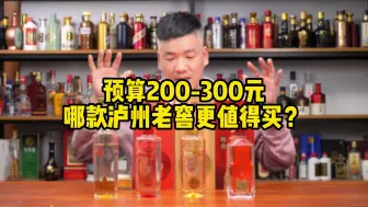 Download Video: 预算200-300元，哪款泸州老窖值得卖？