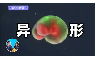 Download Video: 目前研究出，能够自我繁殖的异形机器人出现了。搬运自老高与小茉