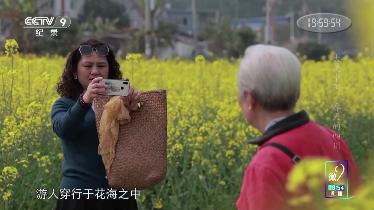 [图]《大美中国·春天系列》第9集 开向春天的蒸汽小火车 带你穿越万亩油菜花海【CCTV纪录】