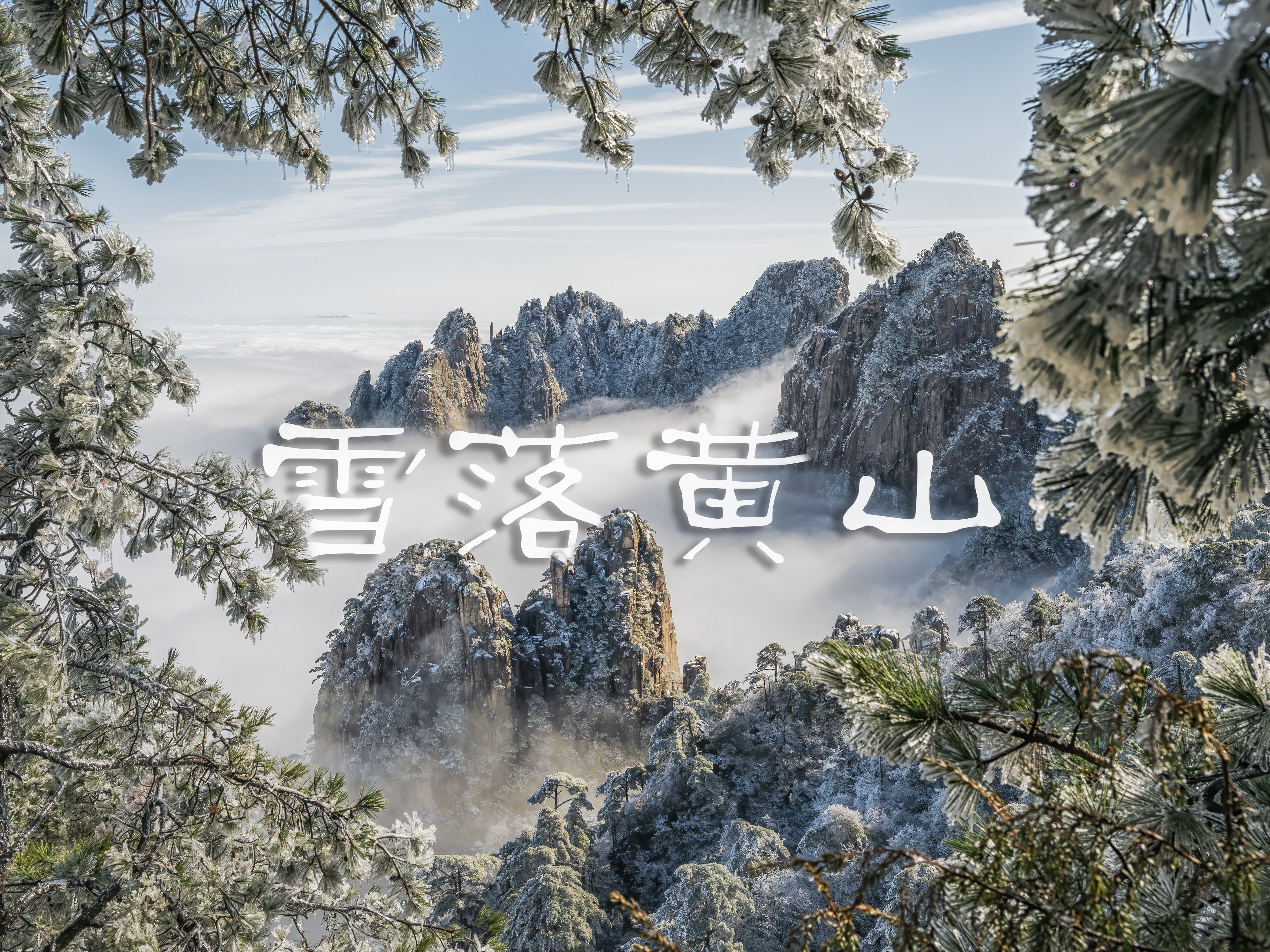 [图]雪落黄山 | 当霜染一半山头, 风也不再轻柔｜8K超清