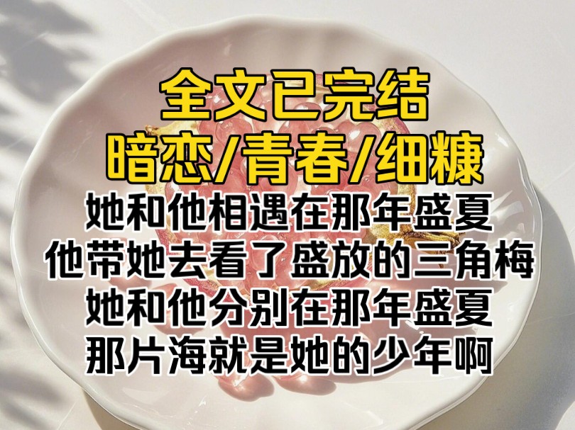 (全文已完结)她和他相遇在那年盛夏,他带她去看了盛放的三角梅;她和他分别在那年盛夏,那片海就是她的少年啊.哔哩哔哩bilibili