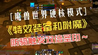 防骑升级附魔选择 以及双倍触发圣印的装备 魔兽世界HC硬核模式 WOW龟龟怀旧服一命模式  大家好 今天跟大家分享一下 龟龟服硬核防骑 A怪升级的附魔选择 以及