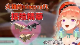 【Takanashi Kiara】火雞的Minecraft冒險精華:小貓的誕生