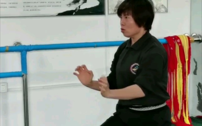 传说中上地流空手道的前身 虎尊拳三战四门哔哩哔哩bilibili