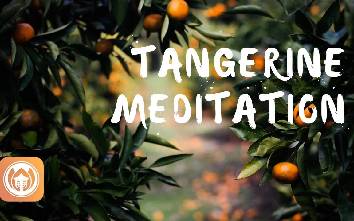 [图]Tangerine Meditation _ Brother Phap Linh (audio)