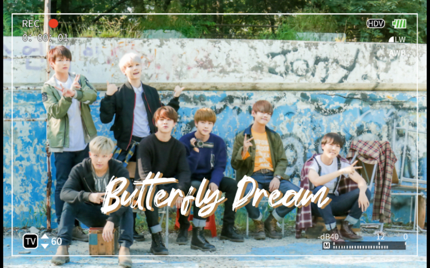 [图]【防弹少年团】蝴蝶梦合集 Butterfly Dream