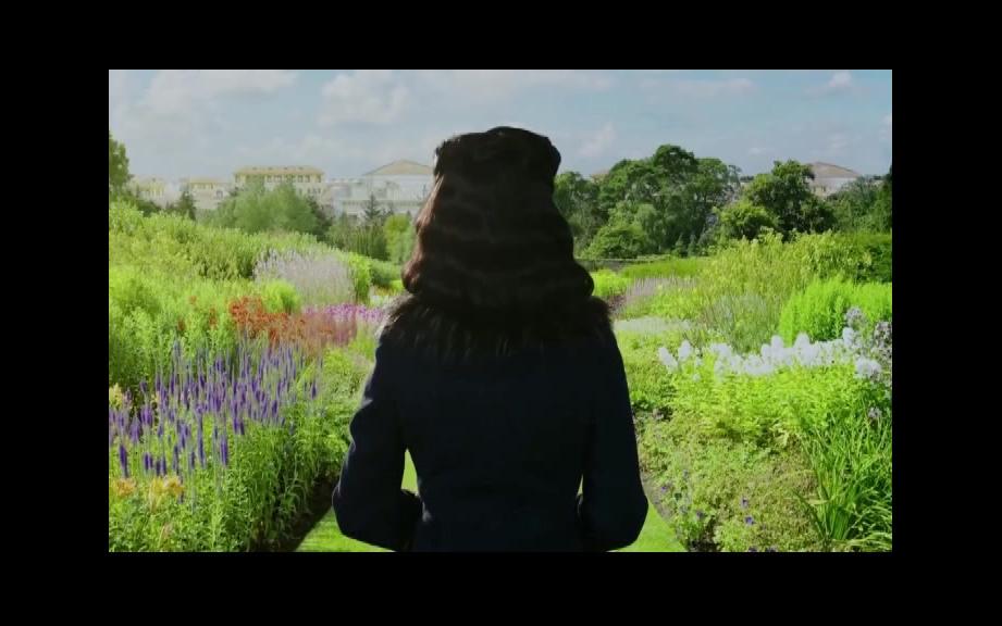 【陈数】【陈佳影×南门瑛】【陈佳影个人向】似是故人来