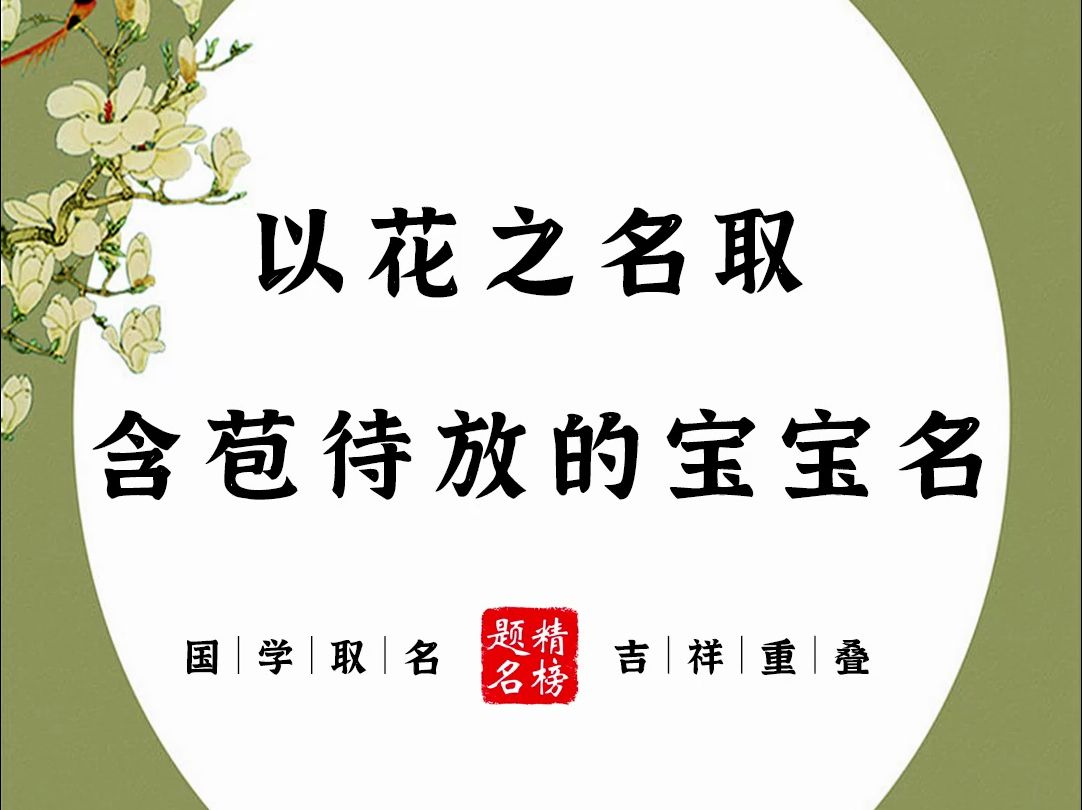 以花之名取含苞待放的宝宝名哔哩哔哩bilibili