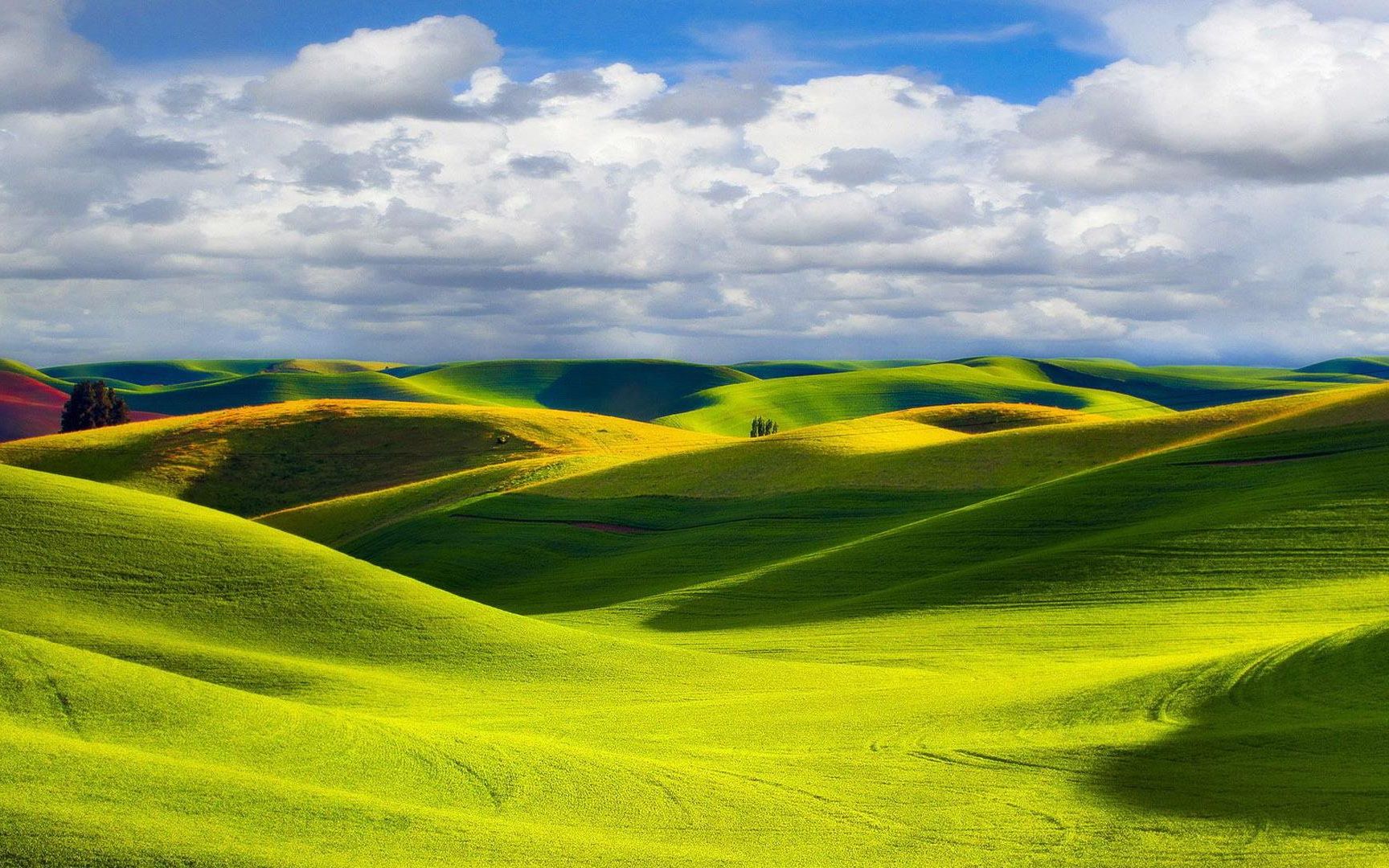 岸部真明流行的云