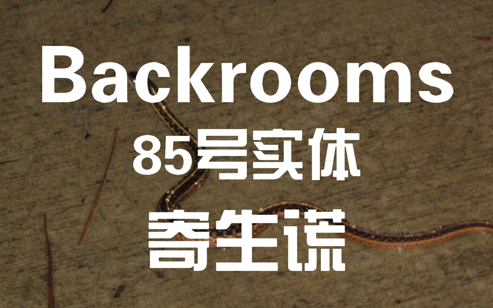 [图]【Backrooms】85号实体：寄生谎