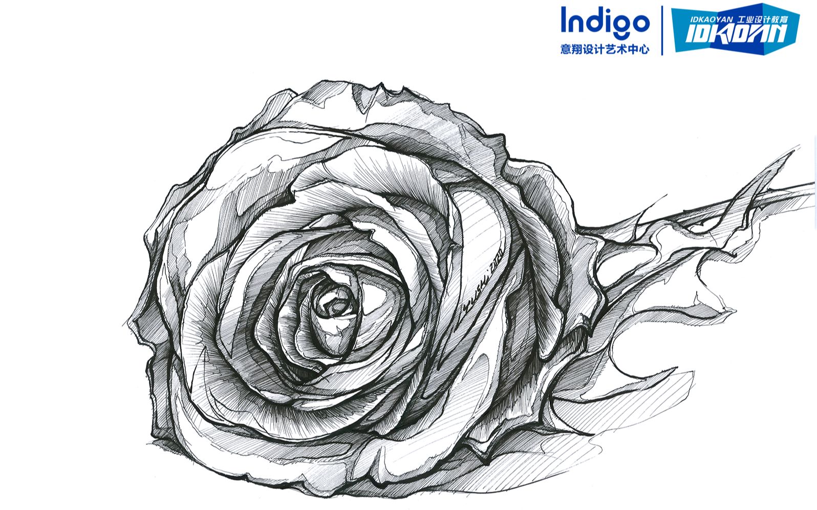 意翔设计手绘——玫瑰花排线练习法