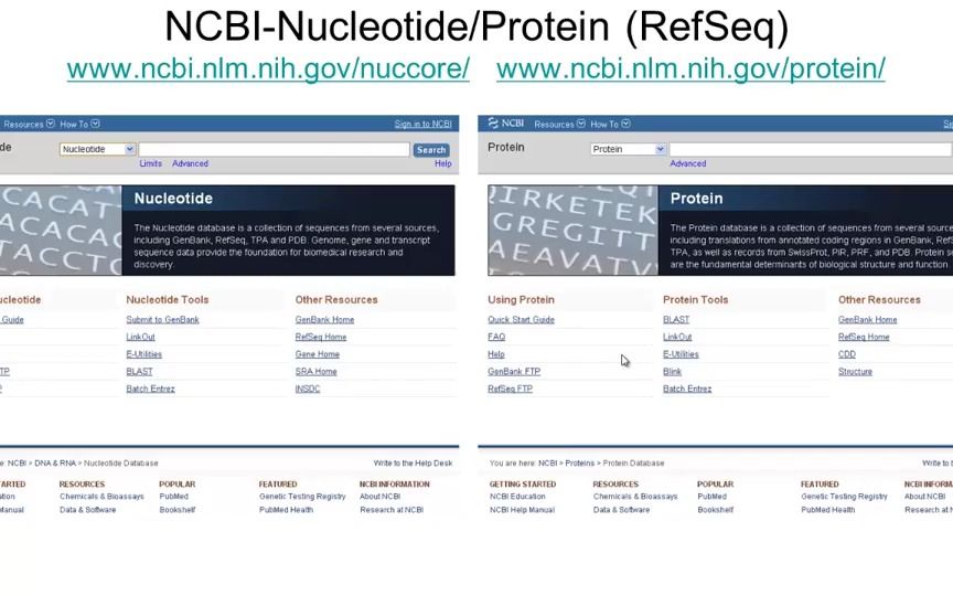 生信分析美国国家生物信息中心(NCBI)资源哔哩哔哩bilibili