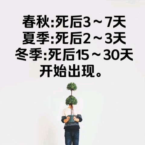 【涨知识】巨人观哔哩哔哩bilibili