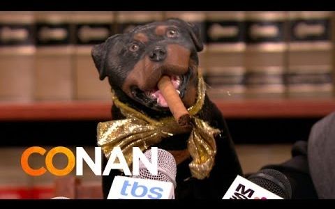 【柯南秀】贱狗凯旋起诉凯旋号游轮公司 Triumph The Insult Comic Dog Is Suing Carnival Cruise Lines哔哩哔哩bilibili