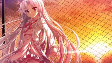 Purple Software Orchestra Selection_哔哩哔哩_bilibili