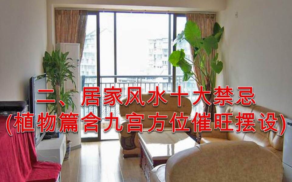 [图]二、居家风水十大禁忌(植物篇含九宫方位催旺摆设)