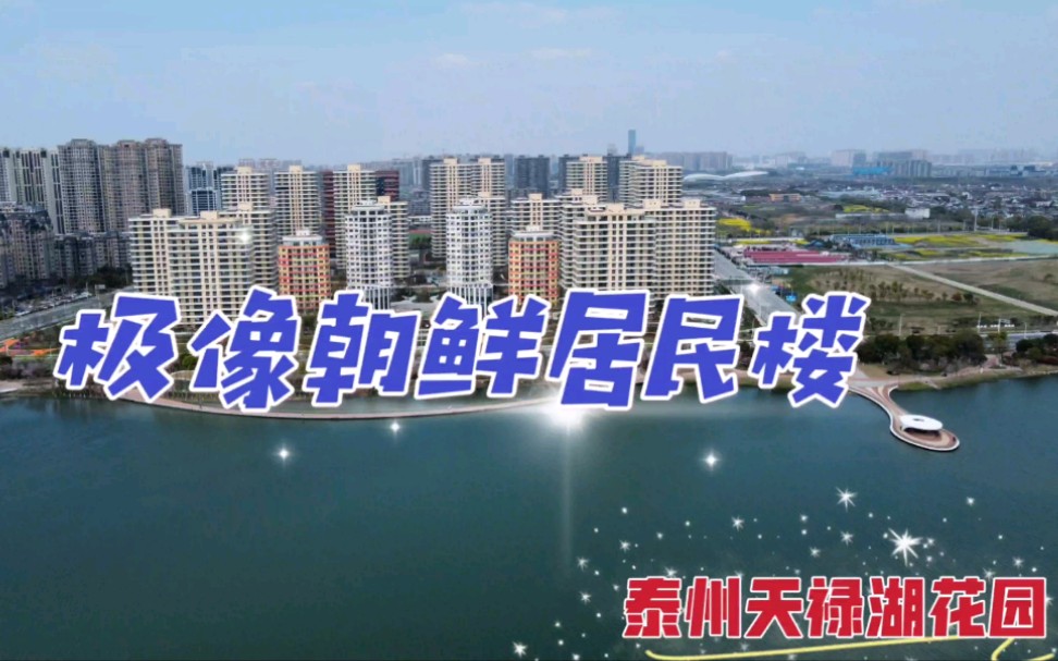 航拍泰州网红楼盘天禄湖花园这里真的像极了朝鲜的科学家大街