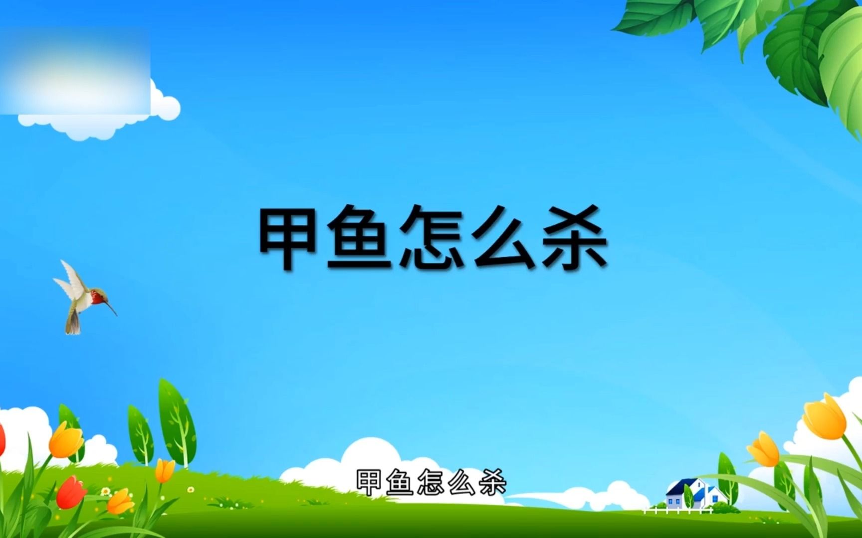 甲鱼怎么杀,杀甲鱼哔哩哔哩bilibili