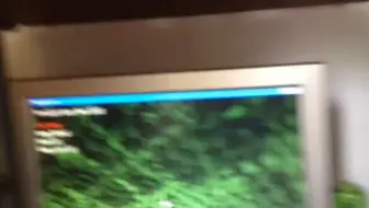 奶奶为十年前的我录制的Mc视频
