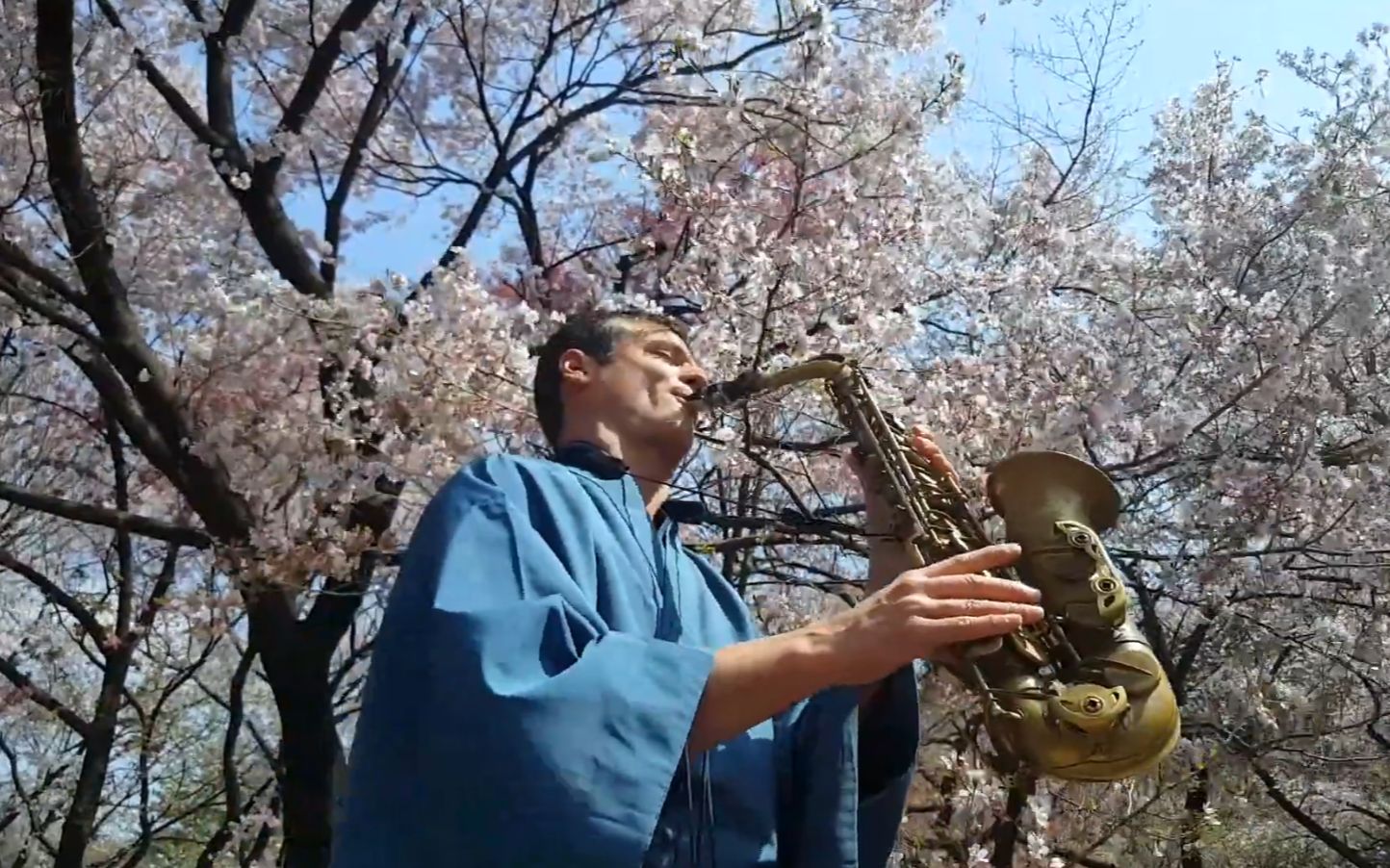 [图]【萨克斯】樱花 樱花-日本传统歌曲 Sakura Sakura - Alto Sax RMX - Japanese Traditional Song