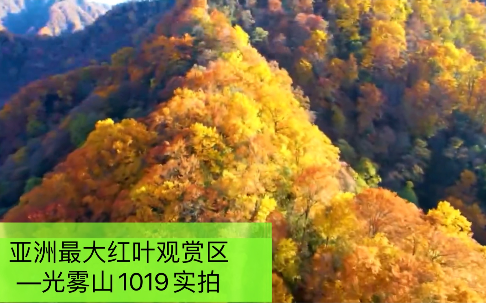 亚洲最大红叶观赏区—光雾山1019实景哔哩哔哩bilibili