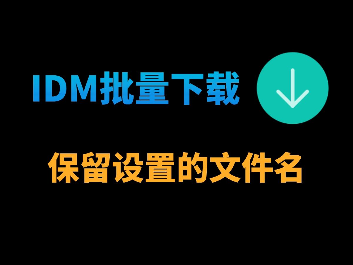 IDM怎么批量下载后保留设置的文件名,IDM怎么批量下载不会重命名哔哩哔哩bilibili