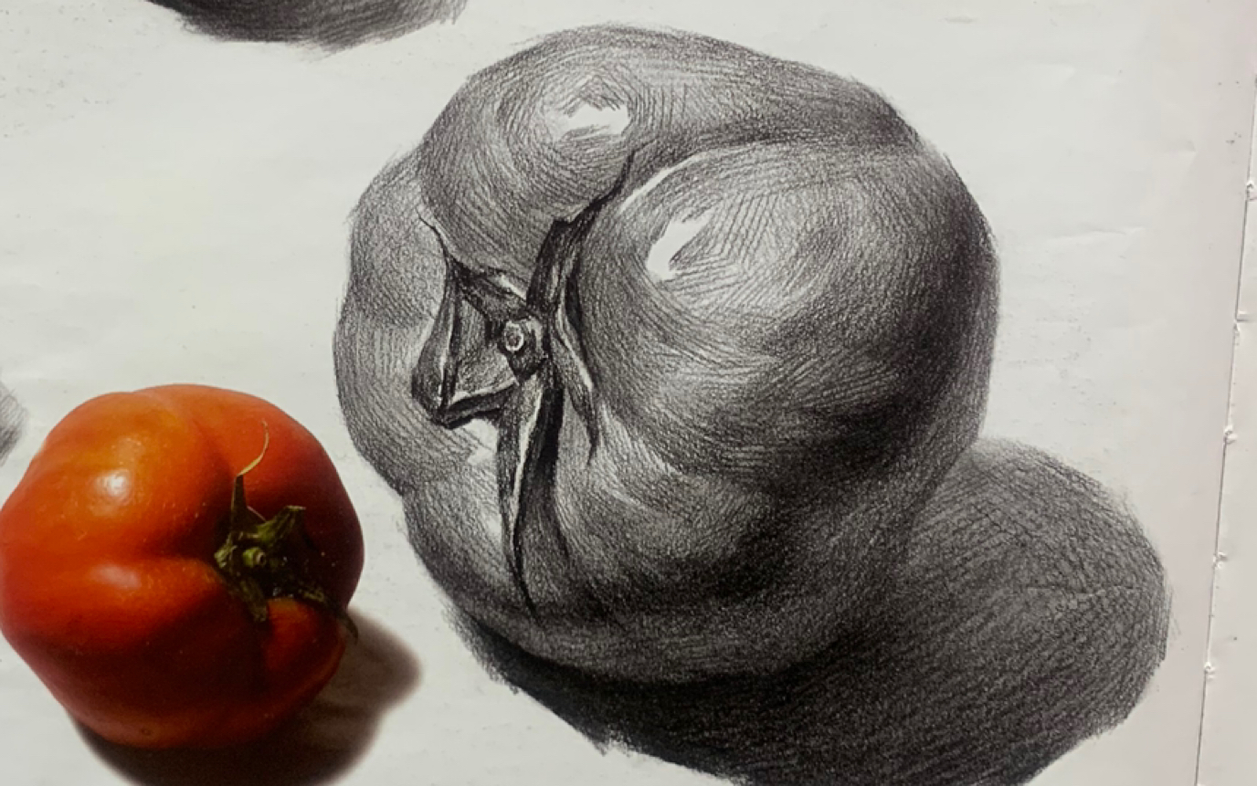 素描西红柿单体图片