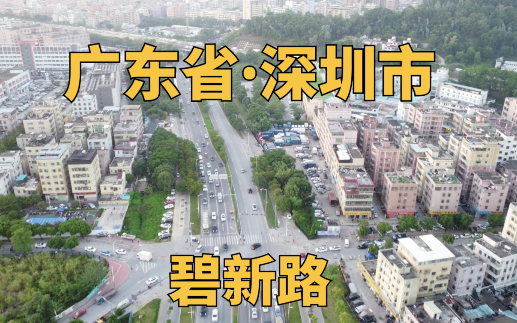 广东省深圳市龙岗区图片