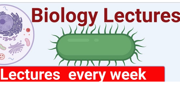 【Biology Lectures】生物化学与分子生物学研究方法哔哩哔哩bilibili